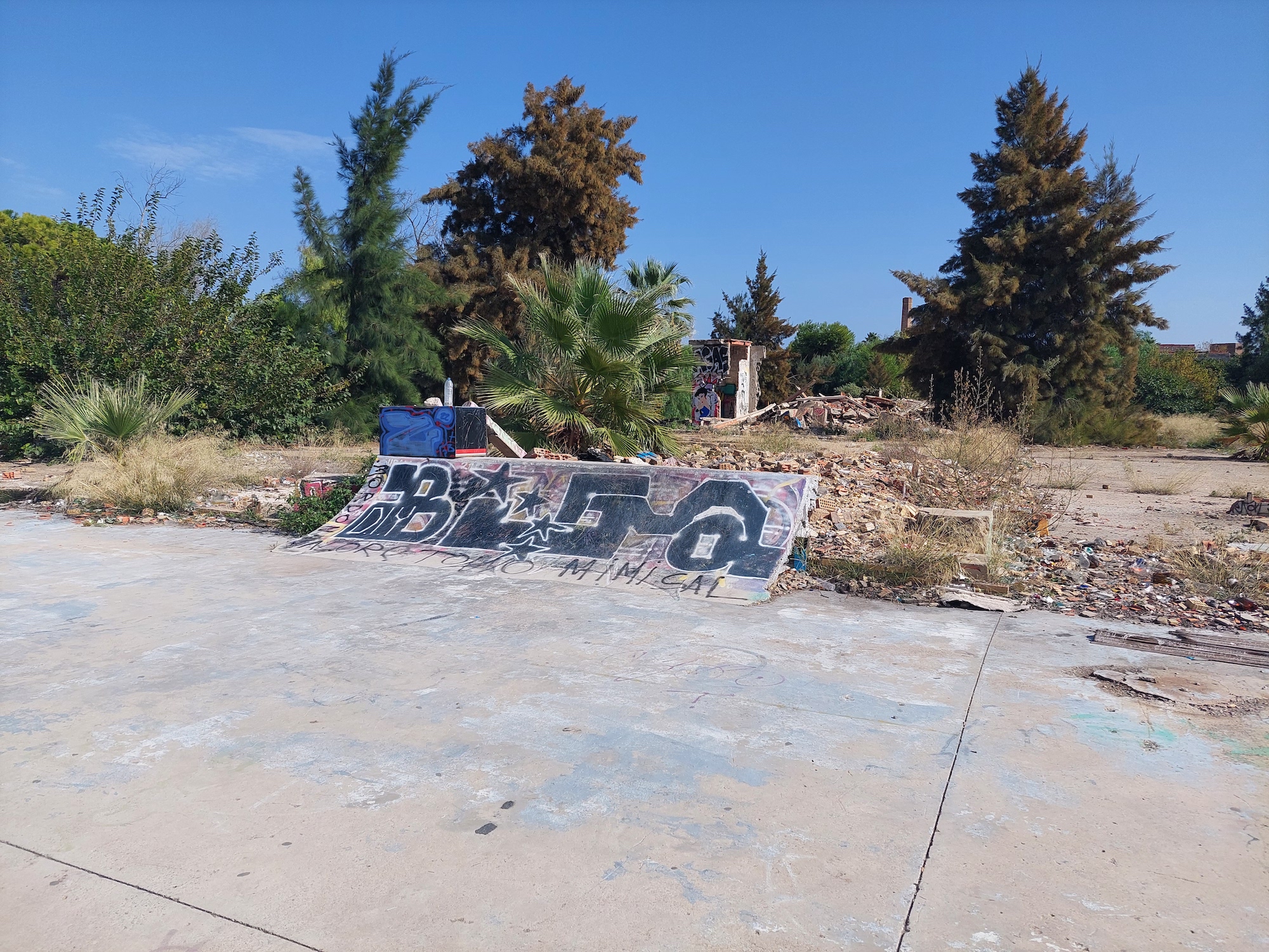 Cementerio DIY skatepark